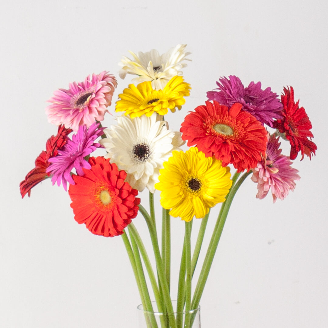 imagen de flores sueltas